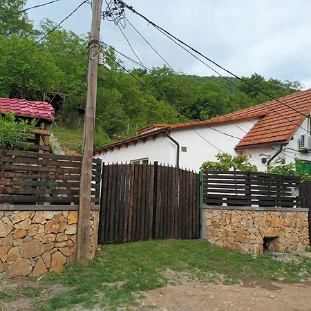 Andrei Villa Sasca Montană Exterior photo