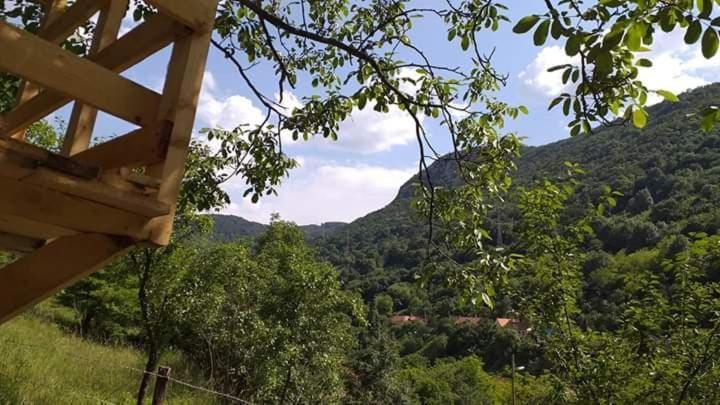 Andrei Villa Sasca Montană Exterior photo