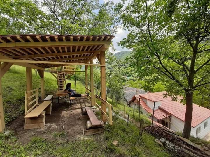 Andrei Villa Sasca Montană Exterior photo