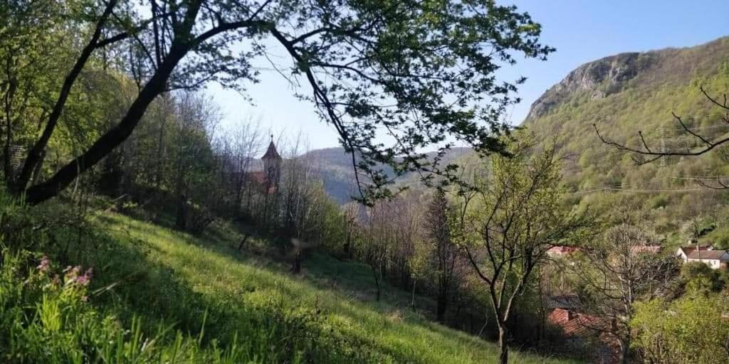 Andrei Villa Sasca Montană Exterior photo