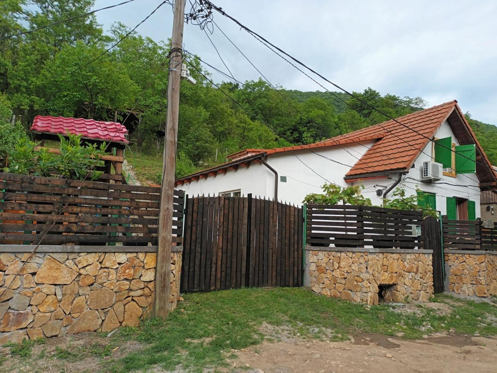 Andrei Villa Sasca Montană Exterior photo