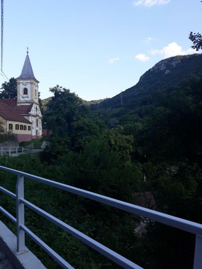 Andrei Villa Sasca Montană Exterior photo